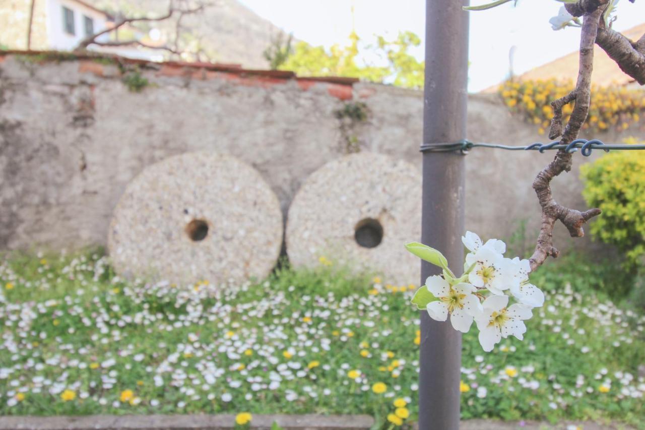 Casetta Pina سان سيرو المظهر الخارجي الصورة