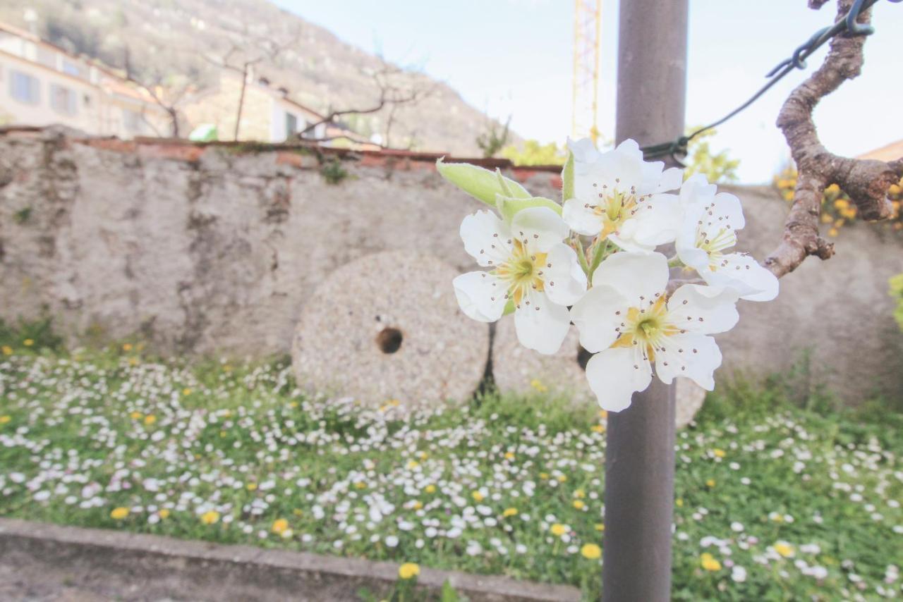 Casetta Pina سان سيرو المظهر الخارجي الصورة